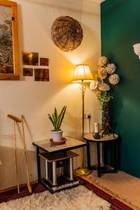 吉爾吉特的住宿－Duroyou Inn，一间房间,桌子上放着一盏灯和一棵植物