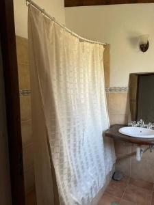 La salle de bains est pourvue d'un rideau de douche et d'un lavabo. dans l'établissement Casa familiar, à Tafí del Valle
