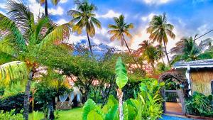 a group of palm trees in front of a house at MAJO LOUNGE dans un jardin tropical vue mer ,5 min de la plage Caraïbe in Saint-Pierre