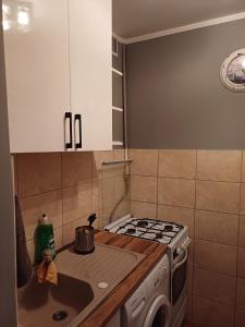 Il comprend une cuisine équipée d'une cuisinière. - un four supérieur à côté d'un évier dans l'établissement Apartament na Przymorzu, à Gdańsk