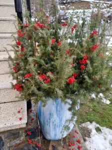 Giardino di STOP HOUSE Mestia