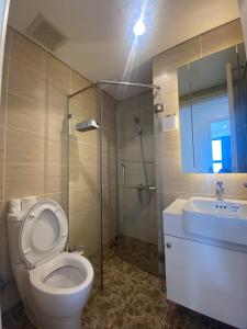 La salle de bains est pourvue de toilettes, d'une douche et d'un lavabo. dans l'établissement D'CAPTIALE TRAN DUY HUNG, à Hanoï