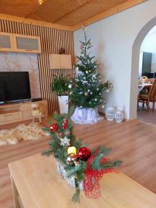 a christmas tree in the middle of a living room at Dom Tatrzański Widok in Bustryk