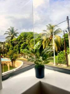 a potted plant sitting on a window sill with a view at Kozy Korner Apartment in Baie du Tombeau