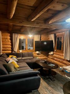 a living room with a couch and a flat screen tv at Cabana Huta Slavia in Şinteu