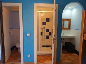 a bathroom with a shower and a toilet and a sink at Mora de Nuei in Aínsa