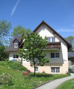 uma casa com uma árvore em frente em Stollenklause em Hormersdorf