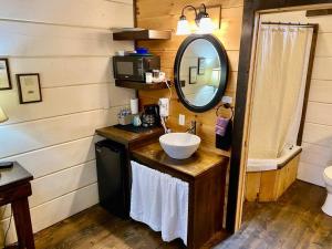 Ένα μπάνιο στο Tiny Home Cottage Near the Smokies #3 Ingrid +12 φωτογραφίες