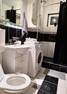 ein Badezimmer mit einem WC und einer Waschmaschine in der Unterkunft Max in Fontana