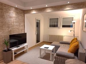 ein Wohnzimmer mit einem Sofa und einem Flachbild-TV in der Unterkunft Max in Fontana
