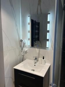 a bathroom with a white sink and a mirror at All Season Lasówka in Lasowka