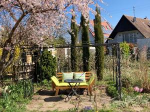 a yellow chair and a table in a garden at Terrassenwohnung in Neustadt an der Weinstraße
