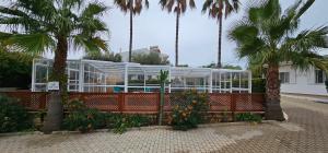 uma casa de vidro com um banco e palmeiras em Apartamentos Flor da Laranja, Albufeira em Albufeira