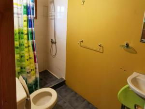 Phòng tắm tại Cabaa Radal en Coaripe cerca del lago Calafqun