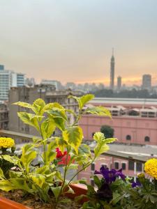 uma varanda com flores e vista para a cidade em Midtown Nile View Suites no Cairo
