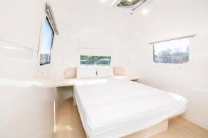 Luray RV Resort on Shenandoah River的电视和/或娱乐中心