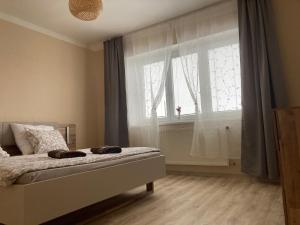 a bedroom with a bed and a large window at Apartment In The Garden in Držovice
