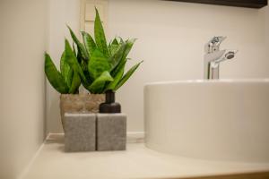 a plant sitting on a counter next to a sink at Lukiskes square apartments (Oldtown) in Vilnius