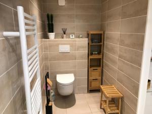 a small bathroom with a toilet and a shelf at Studio neuf de 24m² in Brive-la-Gaillarde