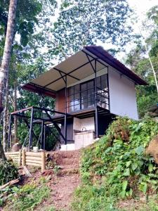 a house on top of a hill with trees at SELVA ADENTRO in Norcasia