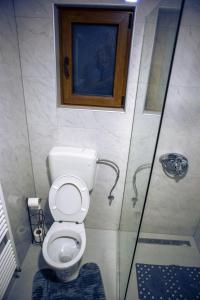 uma pequena casa de banho com WC e chuveiro em Zivinice Hills em Živinice