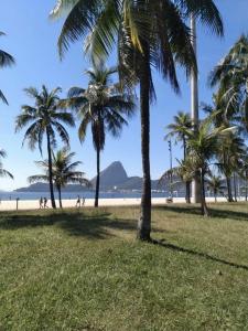 里約熱內盧的住宿－Apto lapa，海滩上的一棵棕榈树