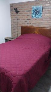 a bedroom with a bed with a pink comforter at La morada del arroyo in Villa Santa Cruz del Lago