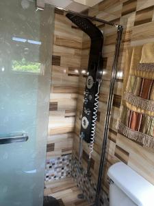um chuveiro com uma porta de vidro na casa de banho em Comfort Rest em Ocho Rios