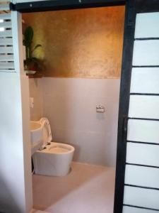 een badkamer met een toilet en een wastafel bij Bird Friendly Inn in Bayawan