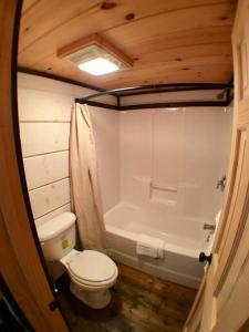 a bathroom with a toilet and a bath tub at Tiny Home Cottage Near the Smokies #5 Fleur in Sevierville