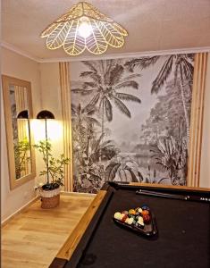 a pool table in a room with a wall mural at Lilie location sud in Petite Île