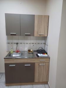 a kitchen with a sink and a counter top at Sobe SANjA in Pirot