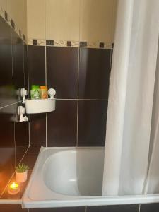 uma banheira na casa de banho com uma cortina de chuveiro em Apartman Vuković em Novi Beograd