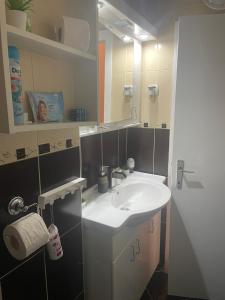 Koupelna v ubytování Apartman Vuković