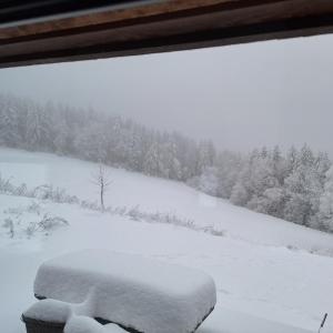 Chata Lesní during the winter