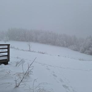 Chata Lesní during the winter