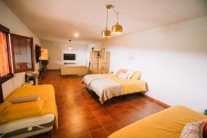 um quarto amplo com 2 camas e um sofá em Beautiful Olive's cave house em Lomo de Arico