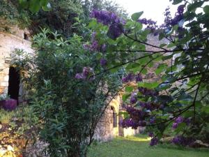 un jardín con flores púrpuras en un edificio en L'Arcane Du Bellay en Montreuil-Bellay