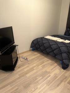 TV a/nebo společenská místnost v ubytování Ade 1