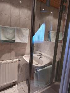 uma casa de banho com um lavatório e um chuveiro em Pension Britta em Roetgen