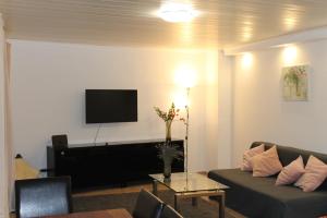 uma sala de estar com um sofá e uma televisão na parede em 3 Zimmer 6 Betten Renoviert em Koblenz