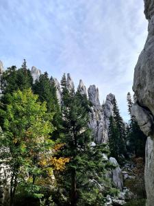 a rocky mountain with trees in front of it at Pansion Potok (kod Suzi) in Vrata