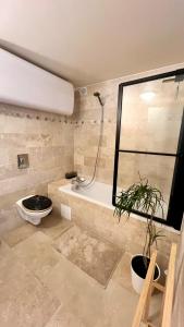 a bathroom with a shower and a toilet and a tub at L'Horizon - Superbe appartement entre Paris & Disney in Gagny +6 photos