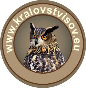 Fotografie z fotogalerie ubytování Apartmán v centru Království sov v Králíkách