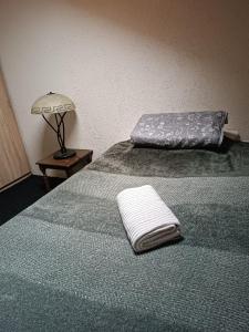 ヤゴディナにあるApartman Radmilaのベッド(枕付)、ランプが備わります。