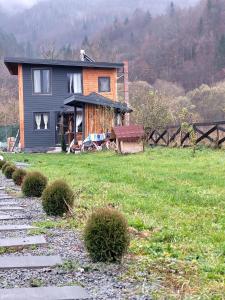 Lupşa的住宿－Casa Transylvania，坐落在郁郁葱葱的绿色田野上的房子