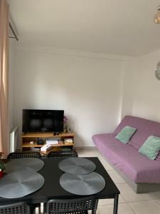 TV a/nebo společenská místnost v ubytování La Maison des roses