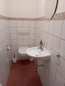 een badkamer met een wastafel en een toilet bij Erdgeschoss - Elisabeth von Berg - Wohnen auf Zeit in Rottweil