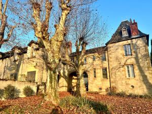 ブリーヴ・ラ・ガイヤルドにあるHôtel Château de Lacanの木々が目の前に立つ古い石造りの建物