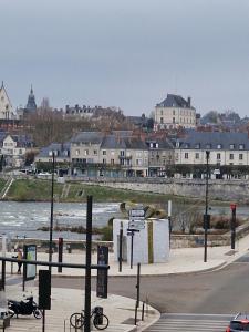 uma vista para uma cidade com um rio e edifícios em Le Refuge des bords de Loire em Blois